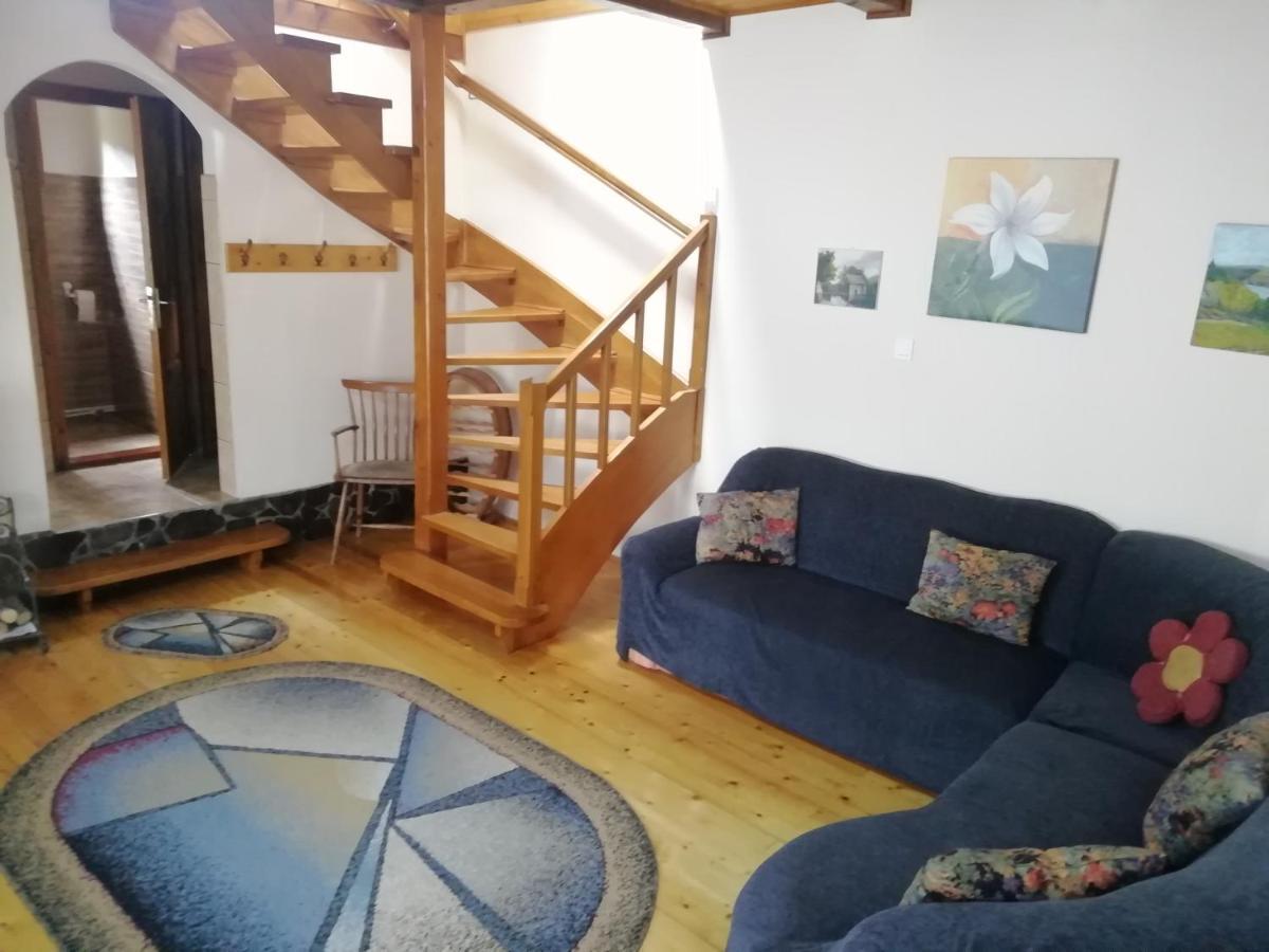 Demeny Vendeghaz Villa Sub Cetate Dış mekan fotoğraf