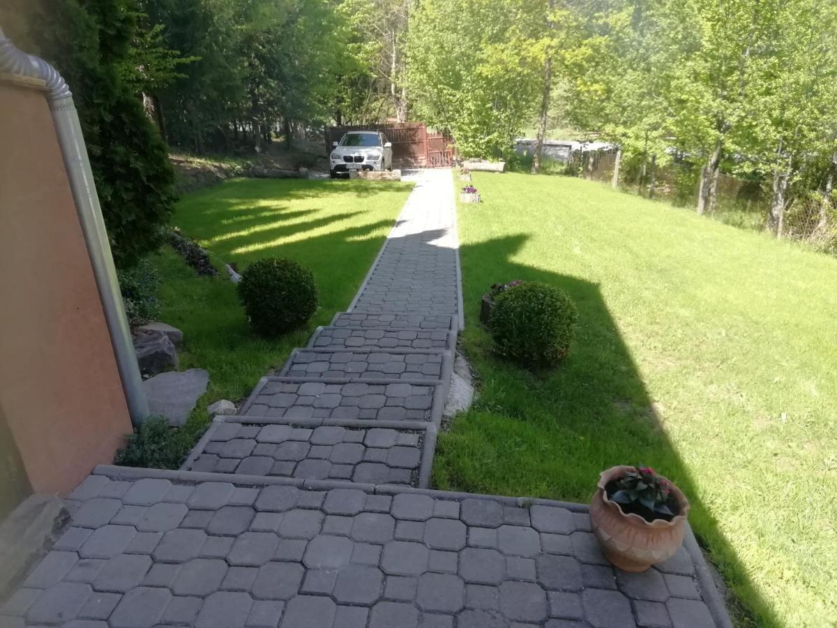 Demeny Vendeghaz Villa Sub Cetate Dış mekan fotoğraf