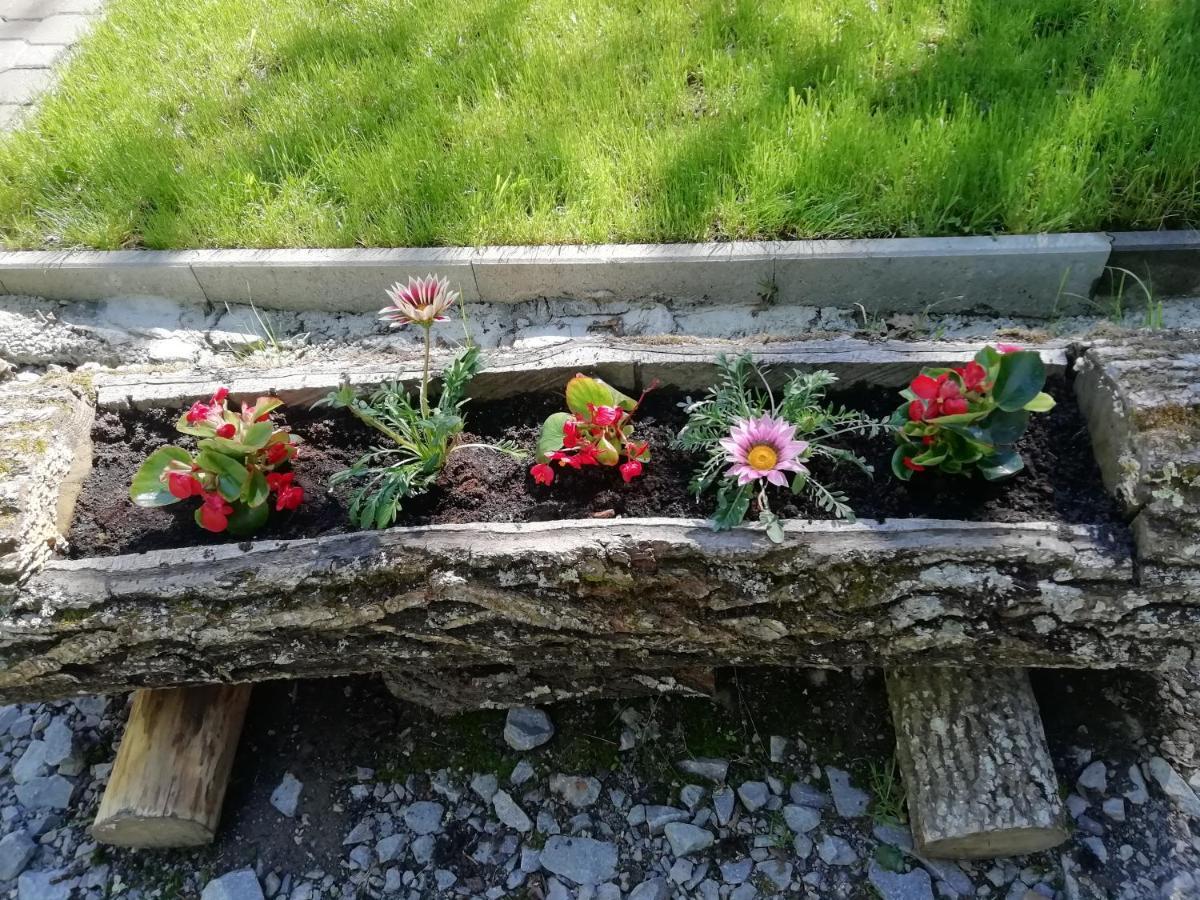 Demeny Vendeghaz Villa Sub Cetate Dış mekan fotoğraf